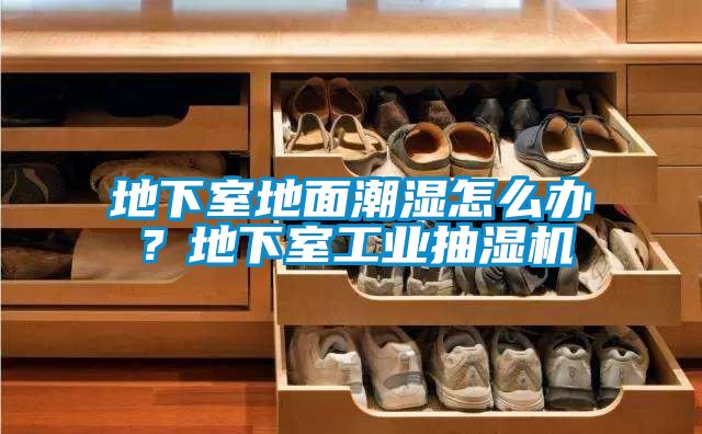 地下室地面潮濕怎么辦？地下室工業抽濕機