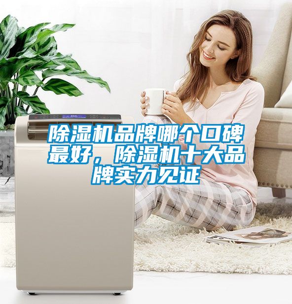 除濕機(jī)品牌哪個(gè)口碑最好，除濕機(jī)十大品牌實(shí)力見證