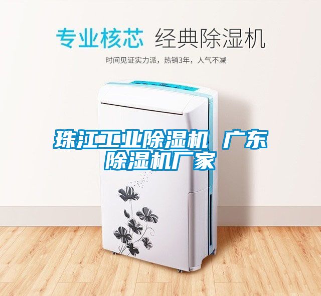 珠江工業(yè)除濕機(jī) 廣東除濕機(jī)廠(chǎng)家