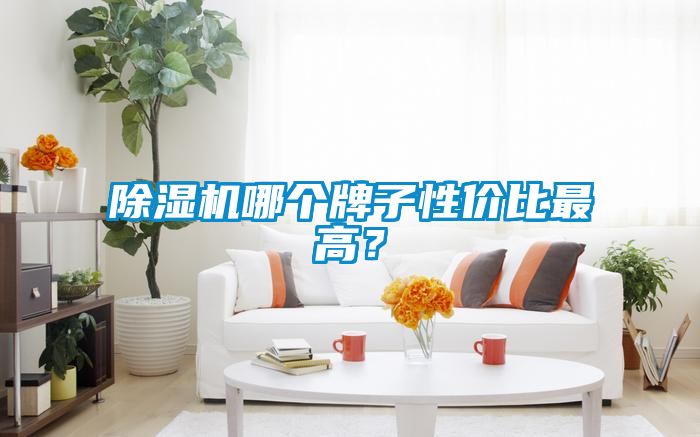 除濕機哪個牌子性價比最高？
