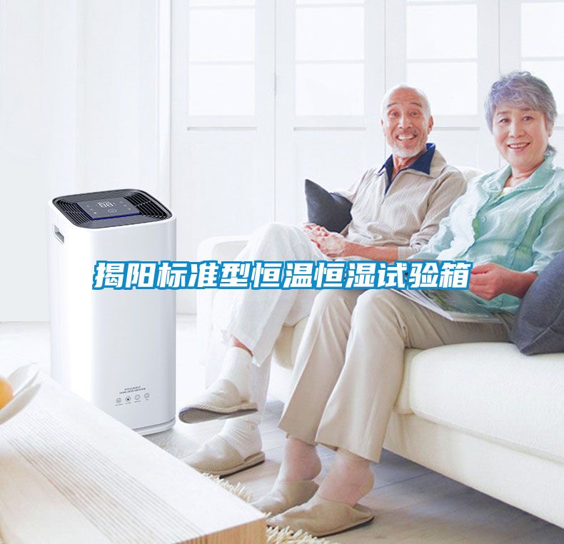 揭陽(yáng)標(biāo)準(zhǔn)型恒溫恒濕試驗(yàn)箱