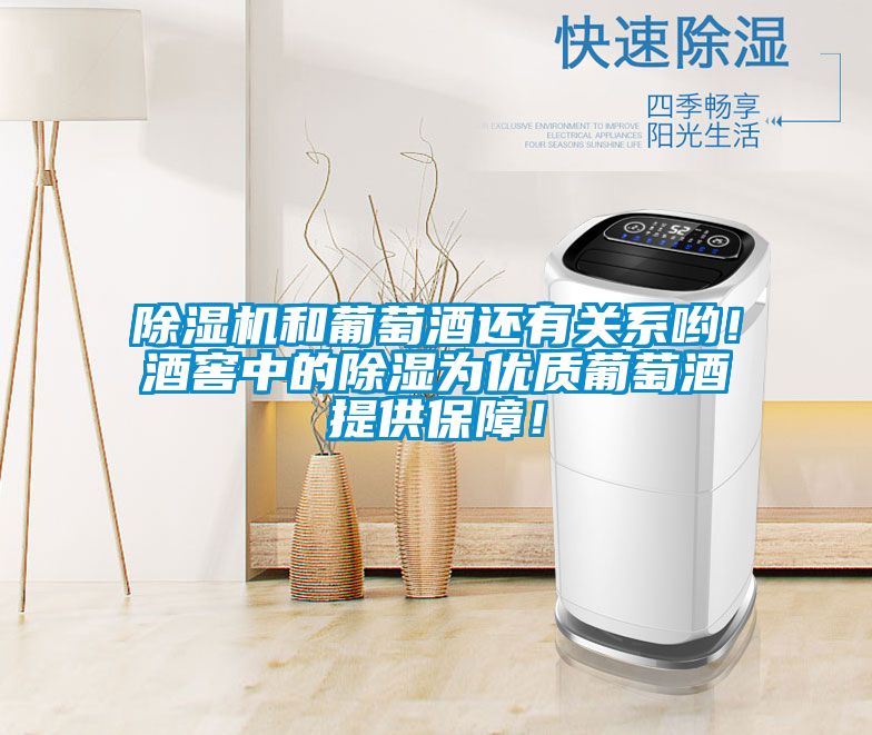 除濕機和葡萄酒還有關系喲！酒窖中的除濕為優質葡萄酒提供保障！
