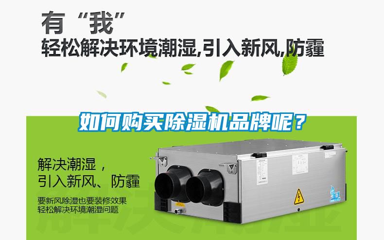 如何購買除濕機品牌呢？