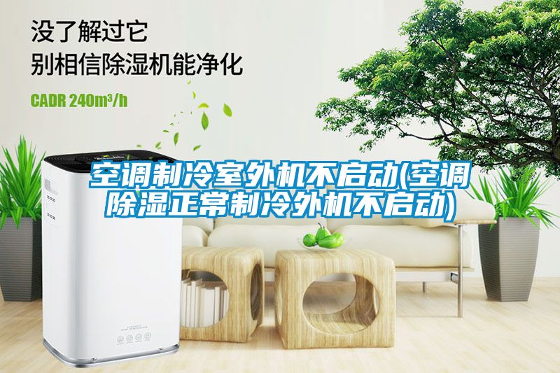 空調(diào)制冷室外機(jī)不啟動(空調(diào)除濕正常制冷外機(jī)不啟動)