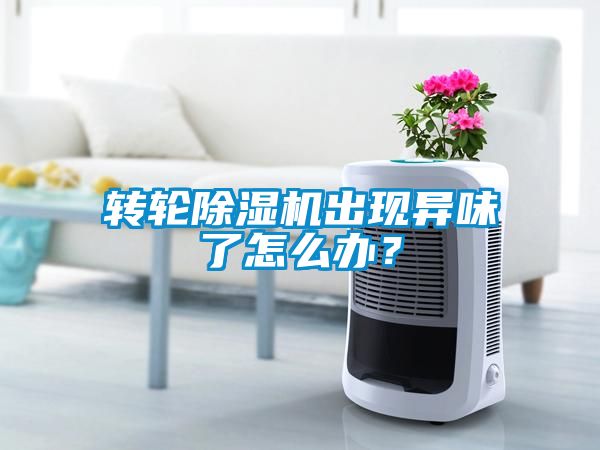 轉(zhuǎn)輪除濕機(jī)出現(xiàn)異味了怎么辦？