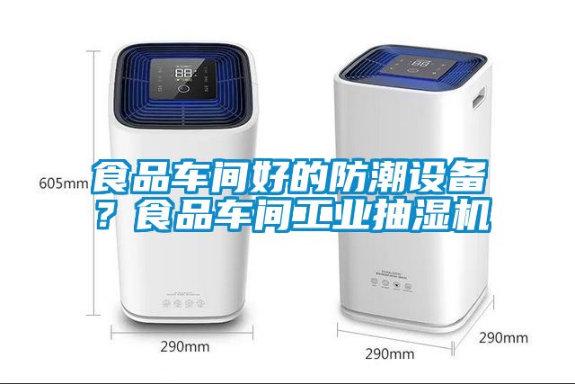 食品車間好的防潮設(shè)備？食品車間工業(yè)抽濕機(jī)