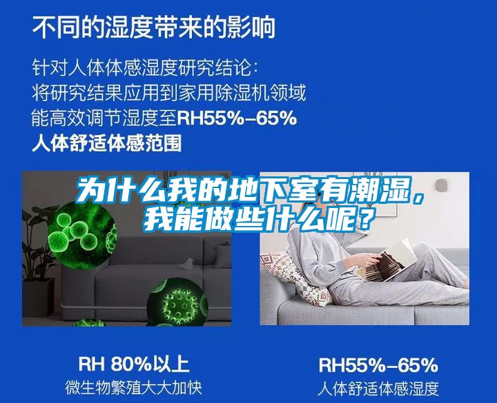 為什么我的地下室有潮濕， 我能做些什么呢？
