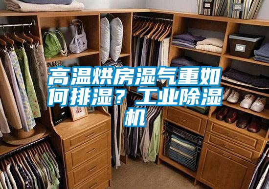 高溫烘房濕氣重如何排濕？工業除濕機
