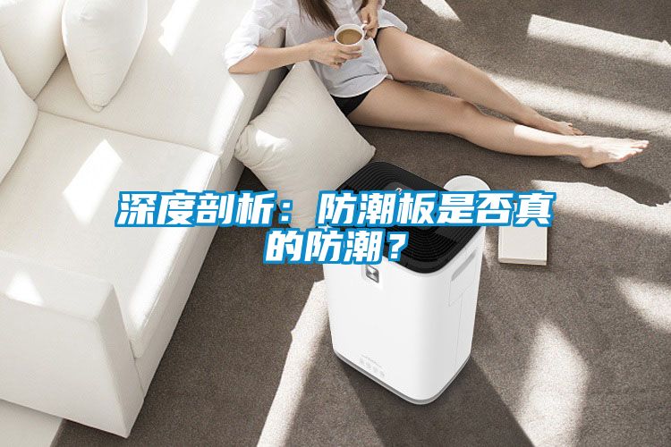 深度剖析：防潮板是否真的防潮？