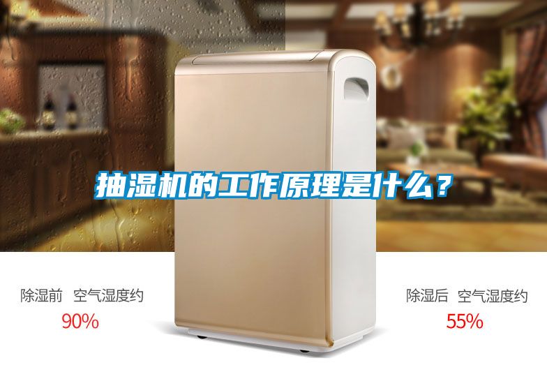 抽濕機的工作原理是什么？