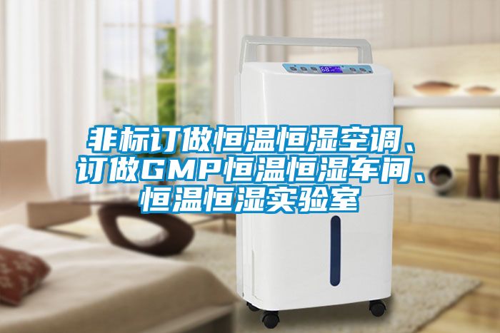 非標訂做恒溫恒濕空調、訂做GMP恒溫恒濕車間、恒溫恒濕實驗室