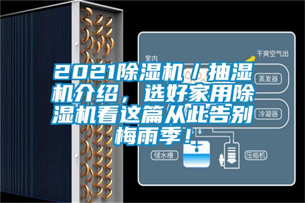 2021除濕機／抽濕機介紹，選好家用除濕機看這篇從此告別梅雨季！
