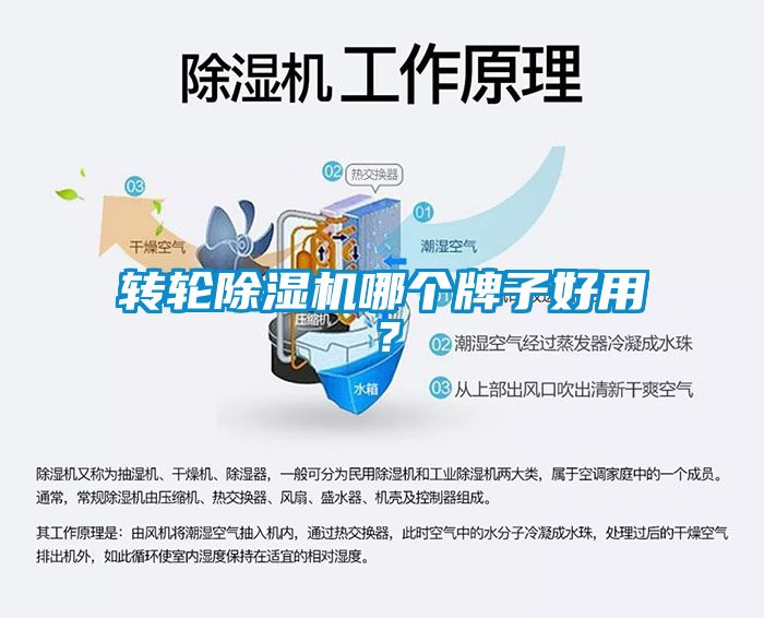 轉輪除濕機哪個牌子好用？