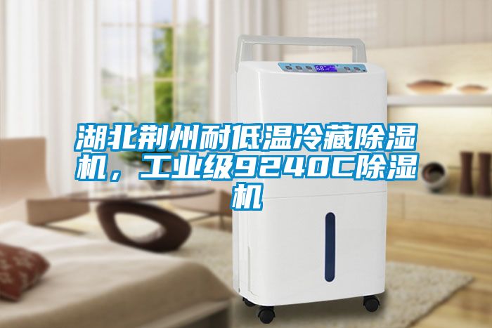湖北荊州耐低溫冷藏除濕機(jī)，工業(yè)級(jí)9240C除濕機(jī)